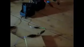 play Anche questa è stata costruita a mano e questa è una lampadina a incandescenza da 1,8 V 0,5 A illuminata solo dalle radiazioni